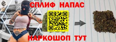 сатива Сланцы