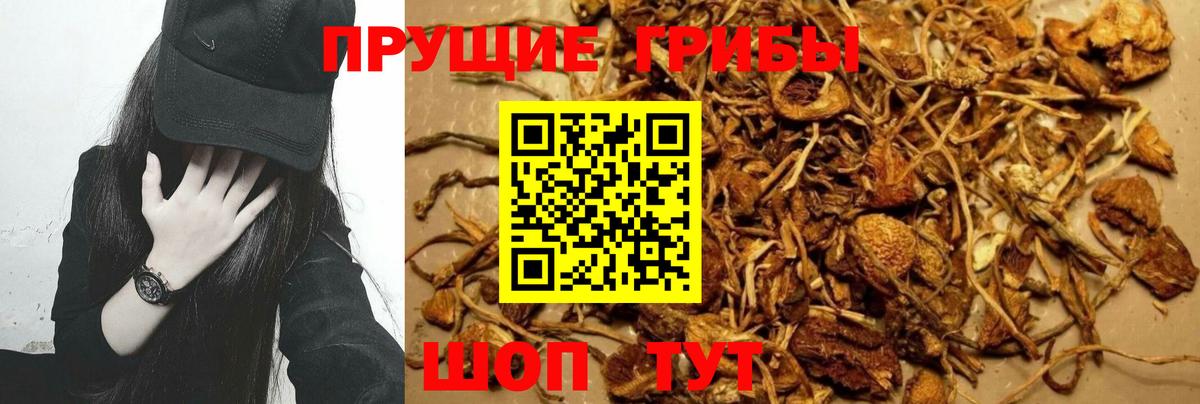 Псилоцибиновые грибы MAGIC MUSHROOMS Омск